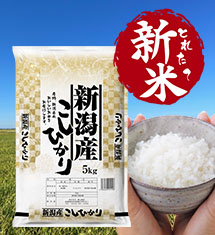新潟産コシヒカリ令和7年産新米