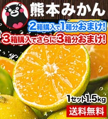 ＼リピートご購入続々／訳アリ『熊本みかん』