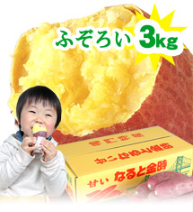 さつまいも なると金時 3kg ふぞろい 徳島県鳴門産