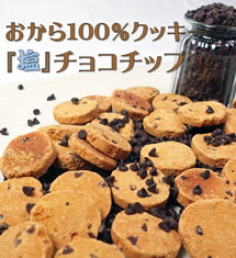 おから100％クッキー『塩』チョコチップ味