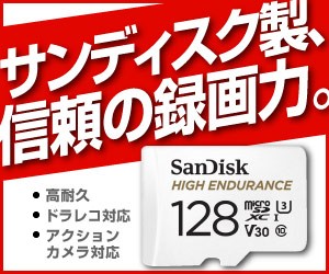 送料無料　ＧＷにサンディスク製ＳＤカード！