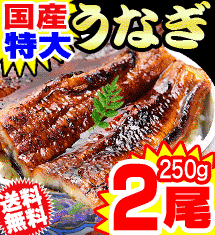 [20％オフ]国産 特大 うなぎ蒲焼 2尾！夏のスタミナ