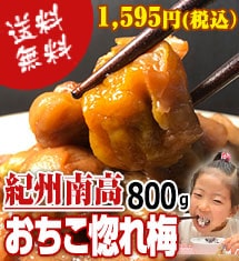 大人気梅干し紀州南高おちこ惚れ梅がお買い得です！