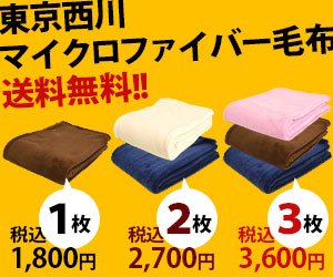 セットでお得♪東京西川のマイクロファイバー毛布