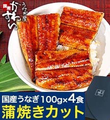 [のし対応可]喜ばれる国産うなぎ