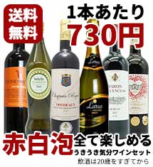 赤・白・泡が全て入った6本ワインセット！