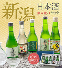 新潟日本酒 飲み比べセット 300ml 5種 送料無料