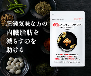 ターミナリアファースト