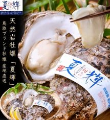 鳥取ブランド 天然岩牡蠣 夏輝 (活生)刺身で是非♪