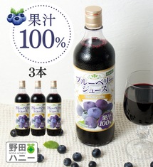 送料無料！ブルーベリー100％ジュース
