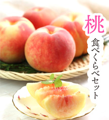 ＼センス光る！夏ギフト／心遣いがうれしい旬の果実