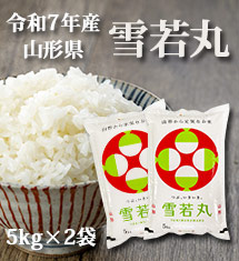 山形県産雪若丸　白米　５ｋｇ×２袋　令和７年産