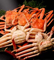 [20％オフ]今だけ冬の味覚 石川県 香箱かに 5匹