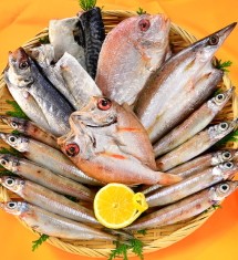 のどぐろ入り近海魚の干物セット